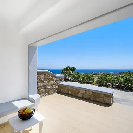 公寓 Oniropetra Mykonos